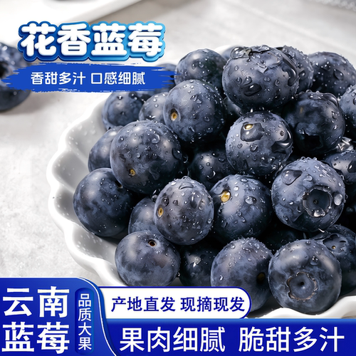 云南蓝莓新鲜水果产地直发现摘现发果肉细腻脆甜多汁大果鲜果