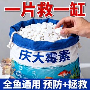 庆大霉素片剂鱼缸水质稳定剂全鱼通用预防治疗净水一片救一缸急救