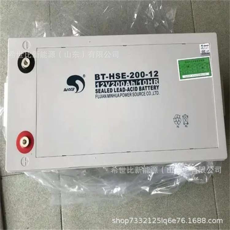 赛特蓄电池BT-HSE-65-12通讯及电力设备12V65AH发电厂/变电站