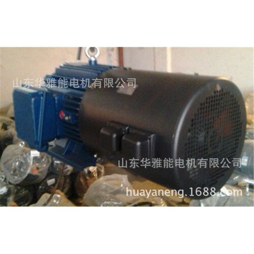 YT-100L2-4-3电机G高原型YSF电机特制加长轴，法兰专用，带衬套