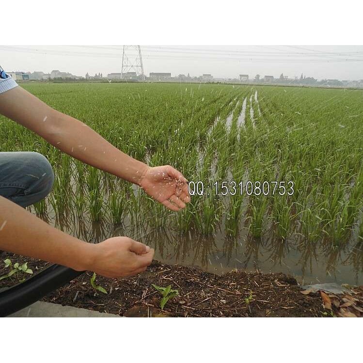 二冲程农用汽油机背负式机动施肥机撒化肥机播种/比电动施肥器牛