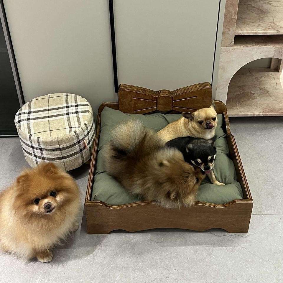 实木宠物床蝴蝶结猫狗床 四季通用 离地设计 防潮 丹麦宠物窝木床