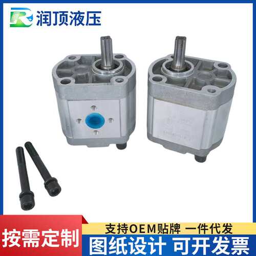 L泵中州泵液压齿轮高压油泵CBN-F306/ 316后侧进出平键螺纹菱形件