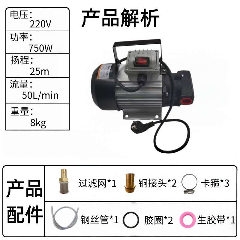 厂家铜线220V-750W电动抽油泵加油泵便携式机油齿轮液压油抽油泵