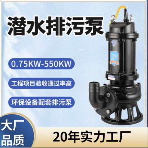 排污泵口径3寸口径污水泵2.5PW污水排污泵出水口径150mm潜水泵
