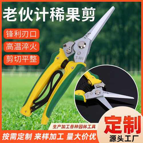现货供应 修枝剪 稀果剪 精品稀果剪采摘剪刀 园艺花枝剪