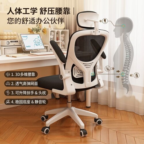 人体工学椅办公会议椅子