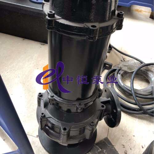中恒泵业直销QW80-43-13-3潜水式排污泵污水泵移动立式无堵塞