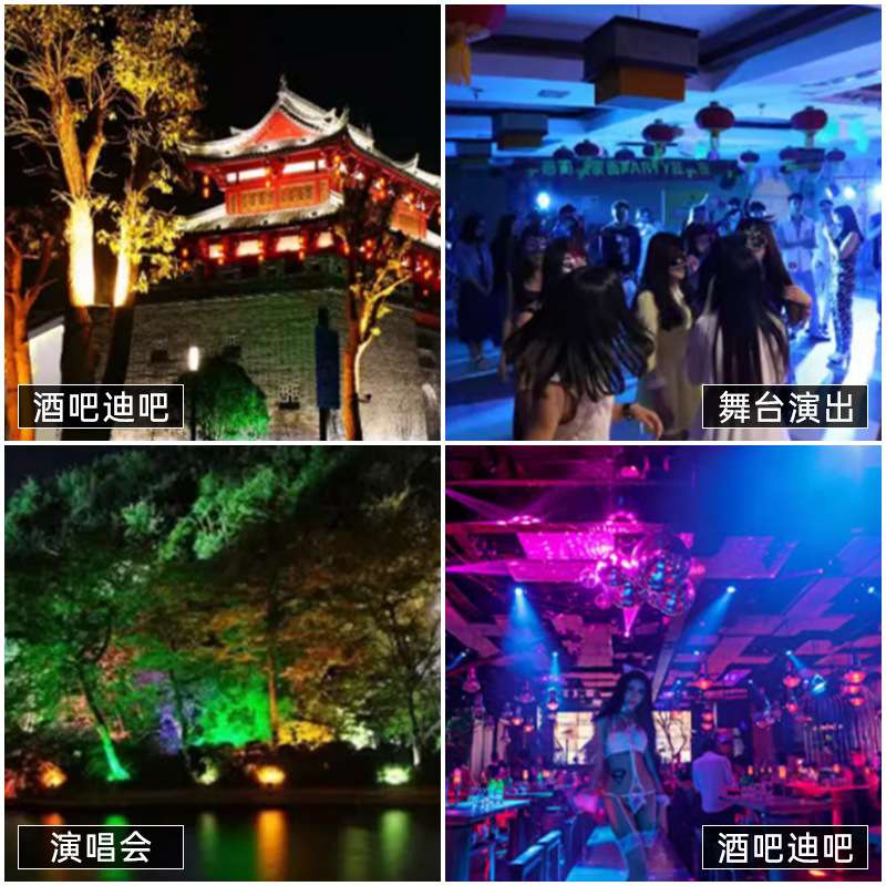 24颗防水投光灯户外亮化演出公园酒店天地排染色帕灯舞台灯光设备