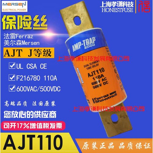 Ferraz/Mersen保险丝AJT125 AMP-TRAP熔断器600V 125A class J