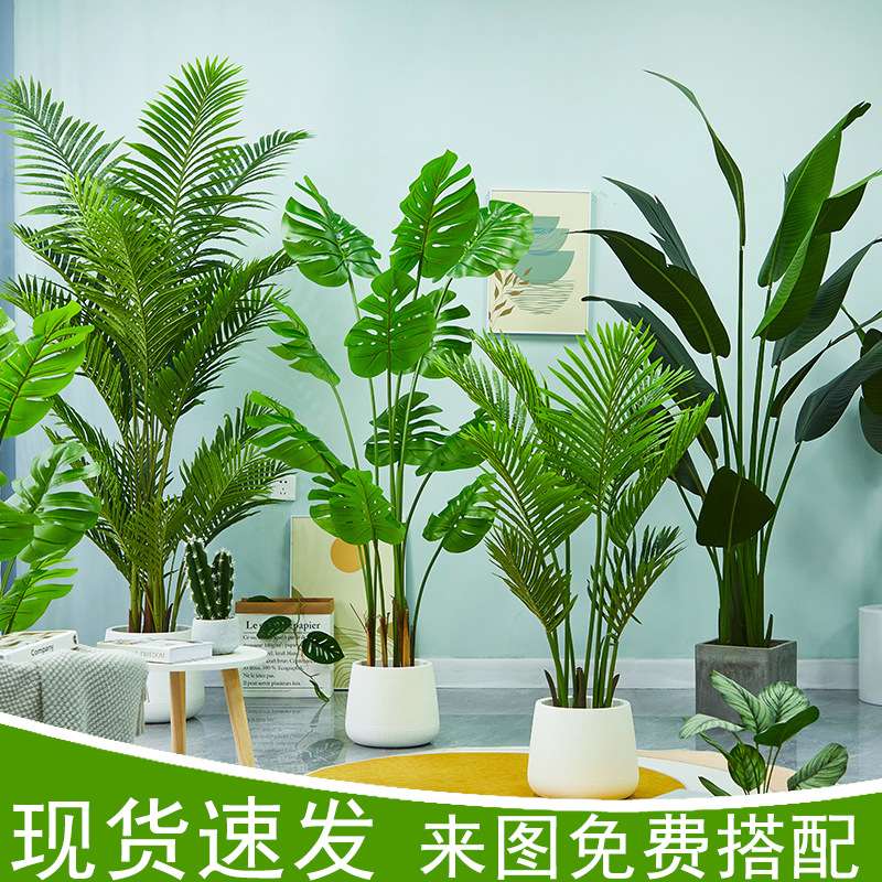 仿真植物天堂鸟旅人蕉服装店装饰假植物吊钟树龟背叶仿真绿植盆栽