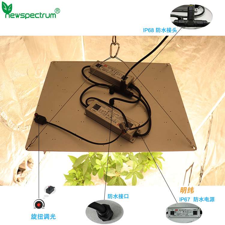 LED植物生长灯 480W可调光量子板补光灯 温室大棚多肉育苗植物灯