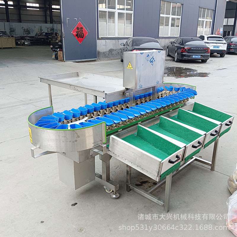 鸡翅鸡爪分拣机 自动称重系统海产品重量分选机流水线 白鸡分选机