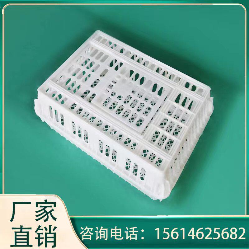 活鸡周转筐热销装鸡塑料运输筐淘汰鸡运输周转筐家禽运输筐