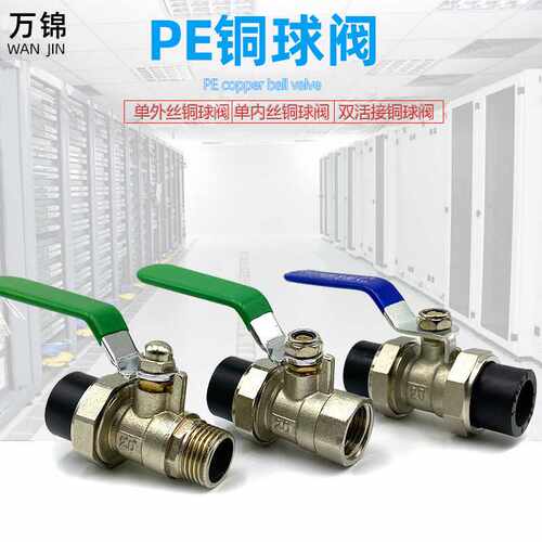 PE20双头活接铜球阀单外丝单内丝热熔球阀给水管管材管件配件接头