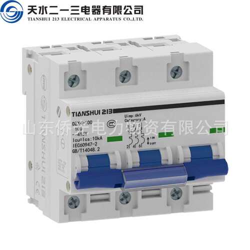 天水二一三小型断路器DZX4-100 2P3PD80AD100A空气开关