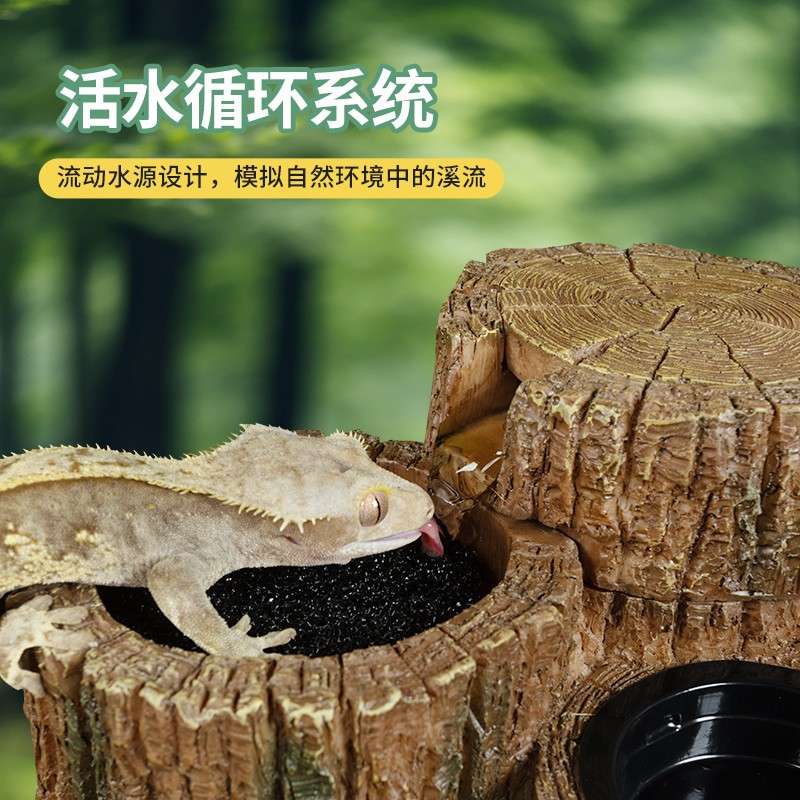 瑞皮Reptizoo爬宠活水自动饮水器睫角鬓狮蜥蜴仿真树桩泉流喝水机