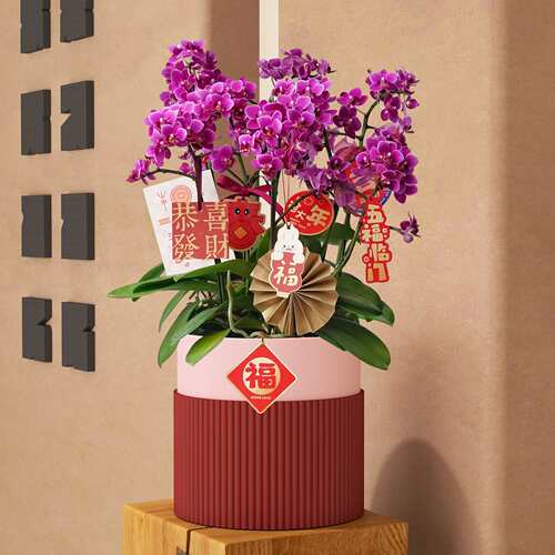 波浪纹蝴蝶兰盆铁艺花盆花器北欧花架冬青银柳盆器绿植新中式摆件