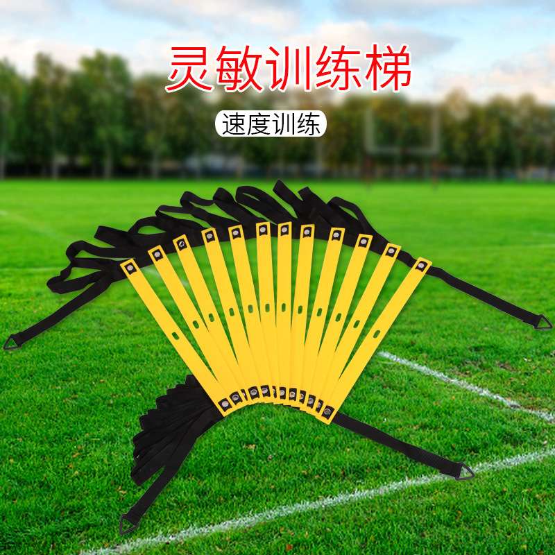 固定式敏捷梯套装标志碟阻力伞拉力带拉力圈拆卸跨栏架训练套装