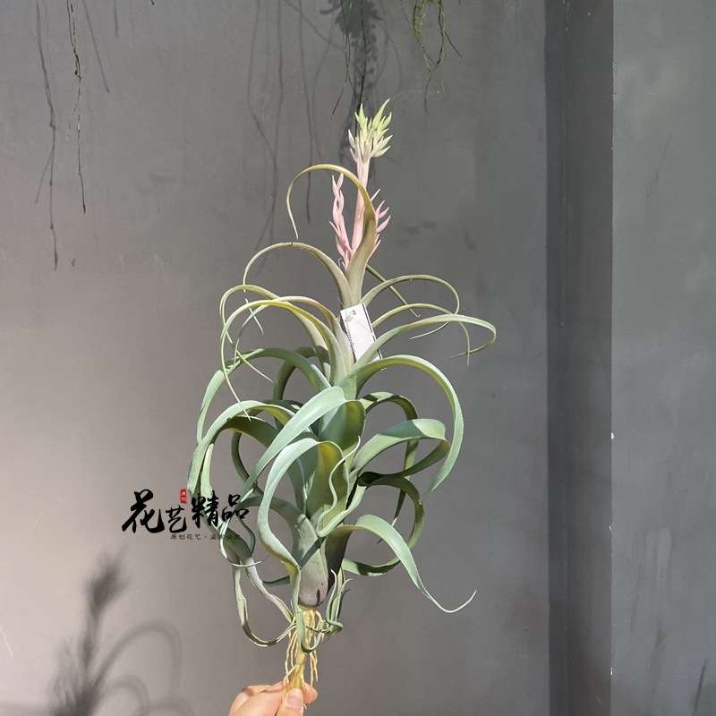 开花空气草垂吊绿植田园多肉植物仿真园艺办公文化仿真植物绢花