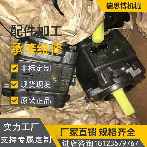 进口高压叶片泵PVV1-1X/018RJ15LMB油泵PVV1-1X/018RJ15RMB机床泵