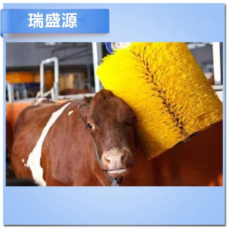 全自动按摩清洗刷 吊装式牛体刷 奶牛养殖清洁设备 牧场养殖设备