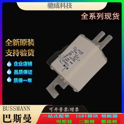 巴斯曼170M4219 170M4238 170M4239 现货直销 零售 快速熔断器