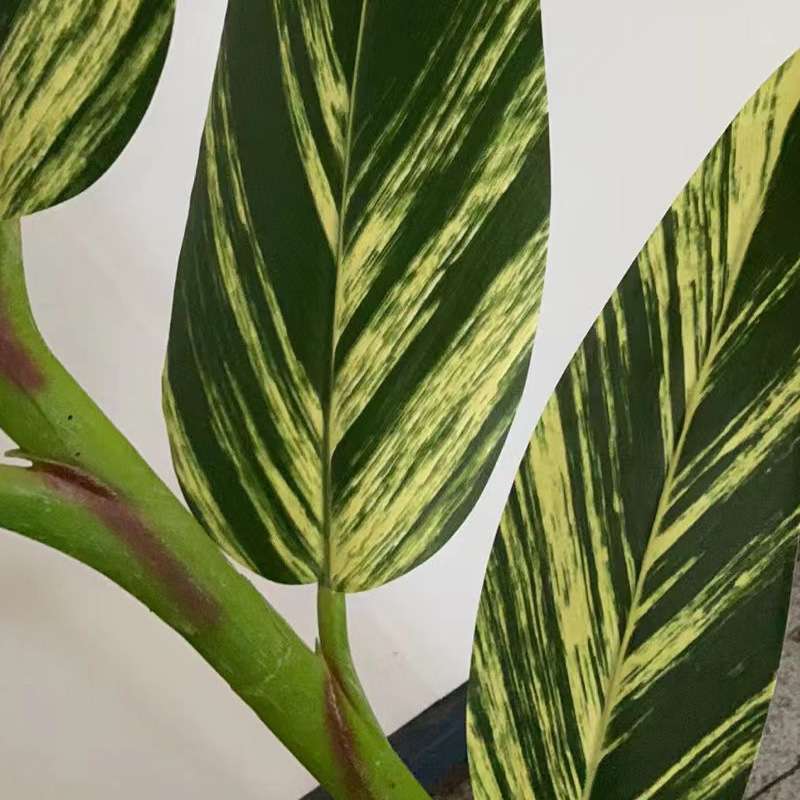 植物花叶良姜景仿真小树假树盆栽 装饰摆件观走道浴场厨窗摆件