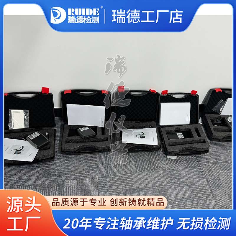 瑞德RUIDE-BC302流动测震仪/振动检测轴承状态分析红外线温度测量
