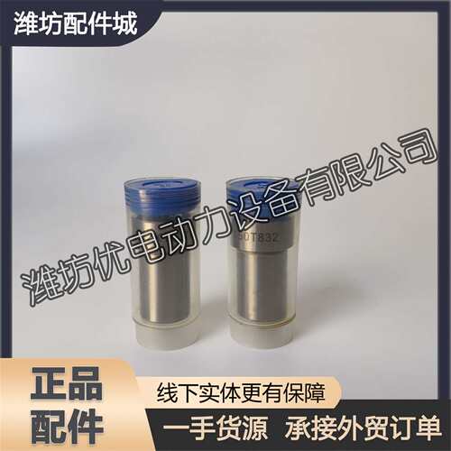 潍柴6170喷油嘴偶件潍坊8170喷油器ZK150T832油头ZK153T830油咀