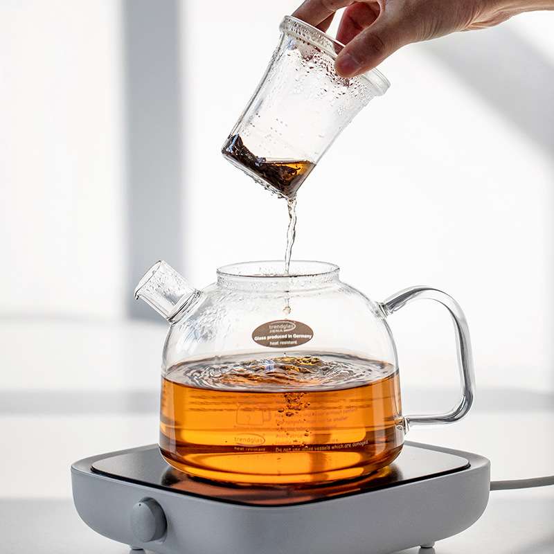 德国进口trendglas JENA高硼硅泡茶玻璃壶简约家用耐热煮茶壶茶具