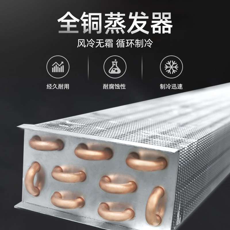工厂直销牛肉干式熟成柜商用西餐厅牛排排酸柜湿式保鲜展示风干柜