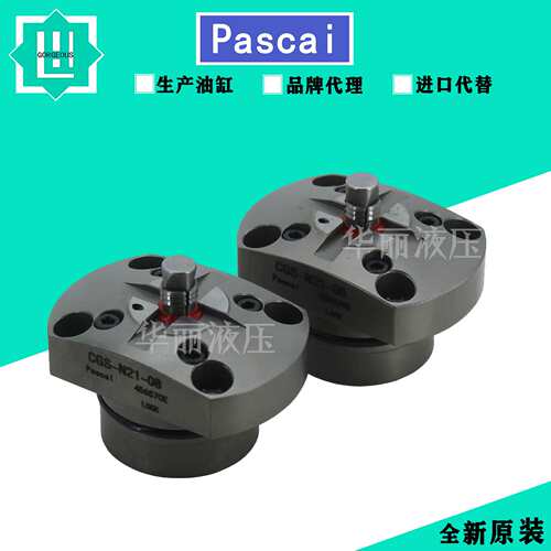 Pascal帕斯卡旋转夹紧液压缸 CSU04 工装夹具杠杆缸 CTU06-REN45