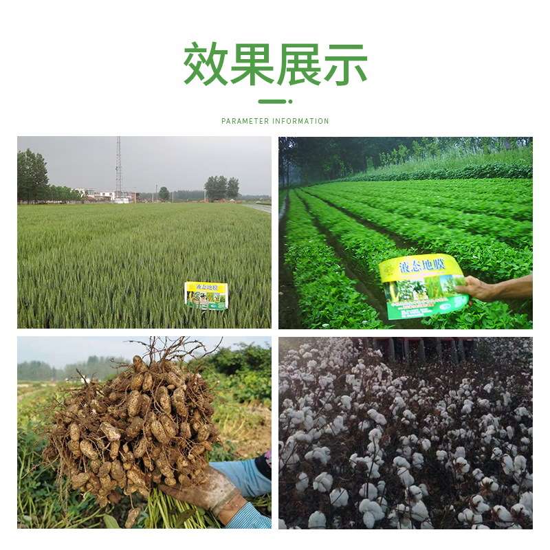 金河液态地膜大棚塑料薄膜液体农膜保温生物降解水膜厂家直供