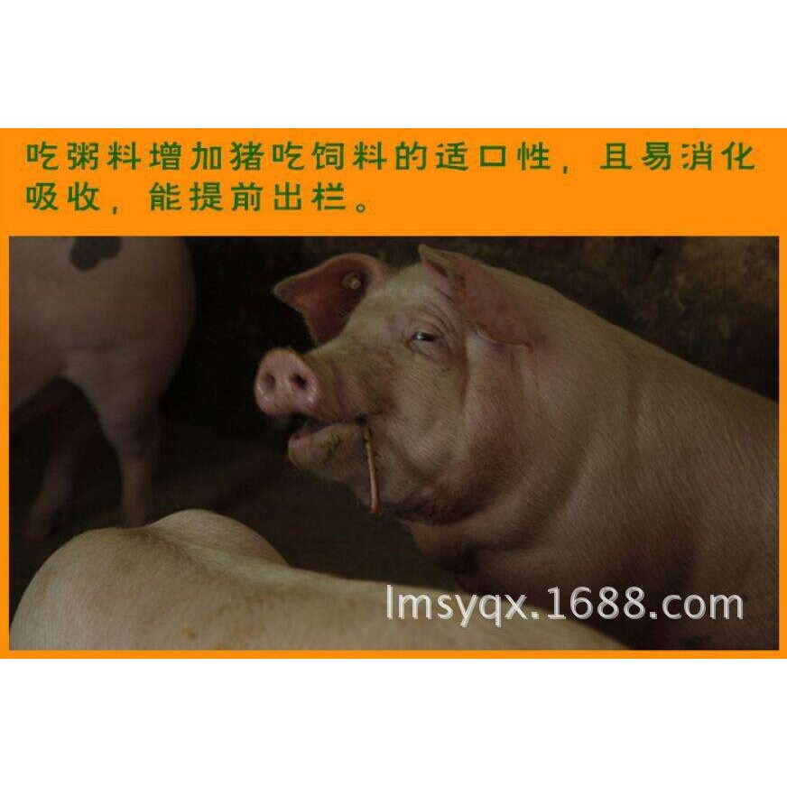 供应粥料器 猪粥料器 煮粥器