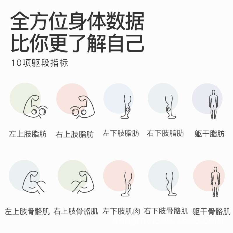东美智能体脂秤精准家用人体秤电子称专业测脂肪体质体重称连手机