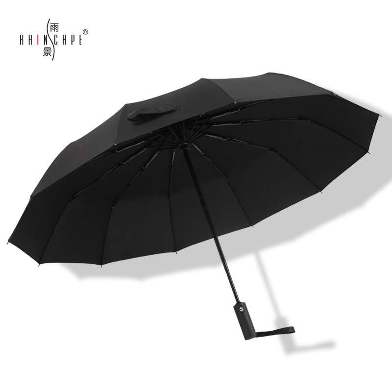 雨景 十二骨自动伞 加固抗风男士商务伞加长手柄晴雨两用抗水雨伞