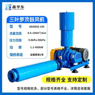 三叶罗茨鼓风机防爆型罗茨鼓风机水产养殖矿山冶金送风罗兹风机