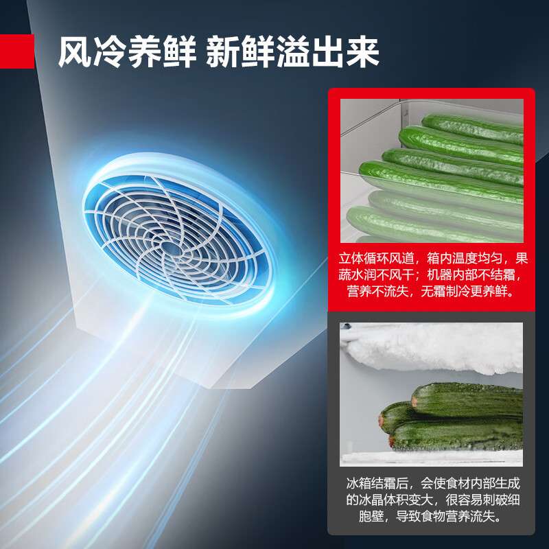 德玛仕 商用厨房冷藏柜蔬菜瓜果储藏保鲜风冷双门冰箱DMS-LG-928F