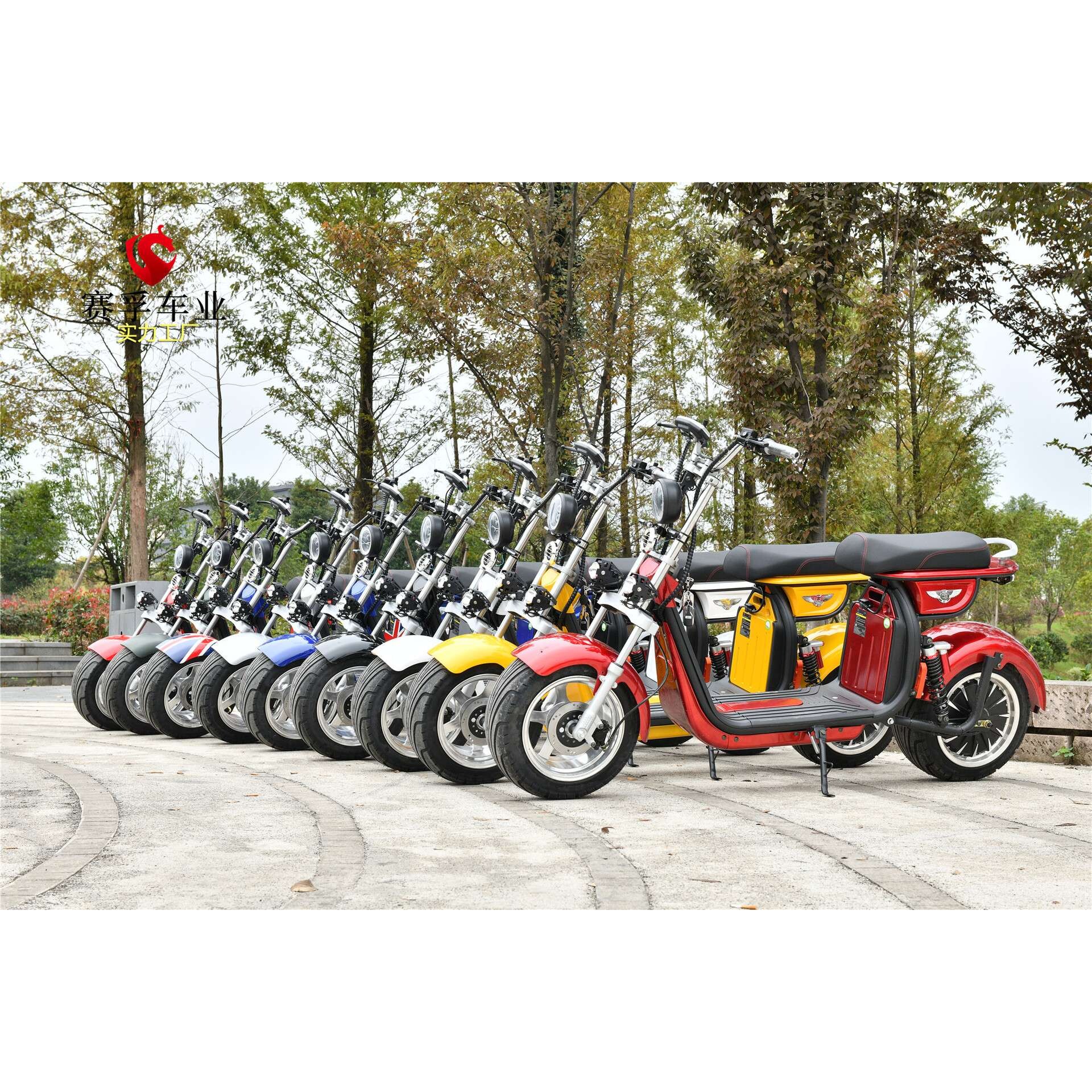 EEC citycoco scooter 45公里限速 1000W 1500W电动哈雷车