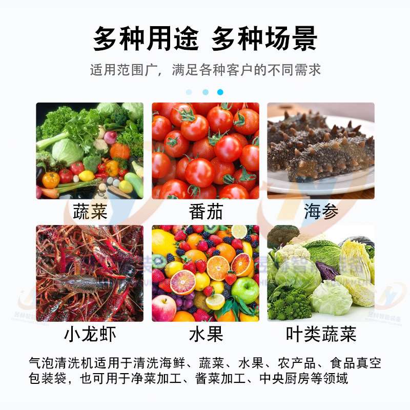 不锈钢水果蔬菜气泡清洗机   龙虾螃蟹清洗去杂   胡萝卜土豆去泥
