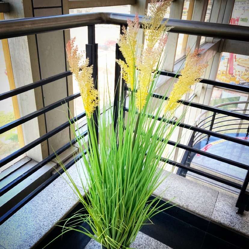 直销 仿真草植物盆栽洋葱草芦苇野谷草扫把头景观婚庆厨窗摆件
