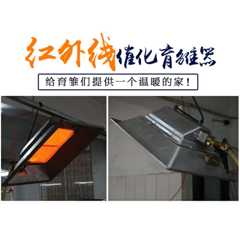 养殖场小鸡育雏器保温器育雏伞保温伞保温箱全自动养殖加温保暖灯