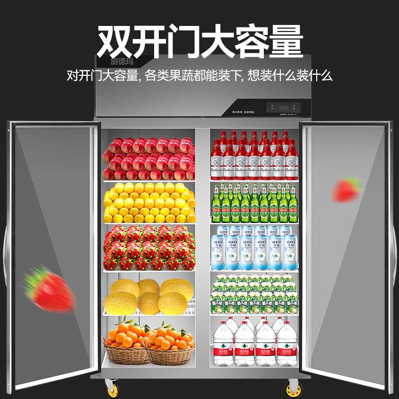 立式双门冰柜 商用酒水饮料冷藏展示柜 大容量水果蔬菜保鲜柜