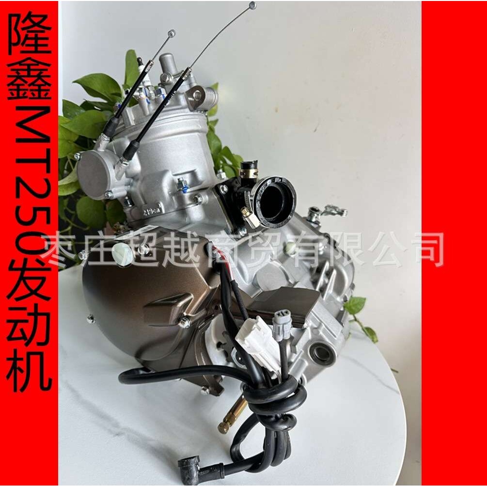 隆鑫两冲程250发动机恒舰卒玛两冲程MT250发动机总成DT230 克维思