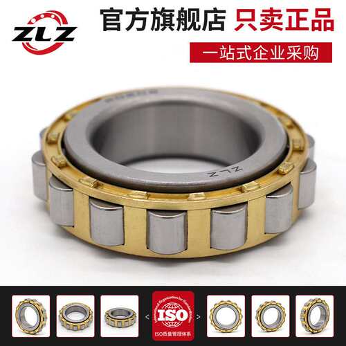 哈尔滨ZLZ圆柱滚子轴承 RN 312 219 222 228 328