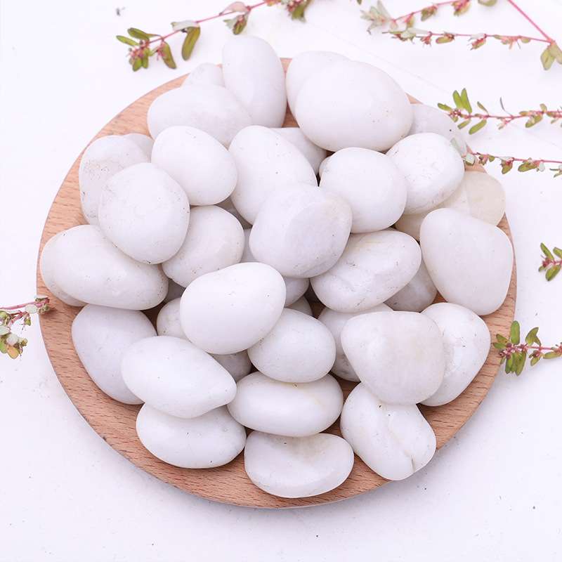 白色抛光鹅卵石江苏园林铺路雨花石头鱼缸造景园艺盆栽高光石块