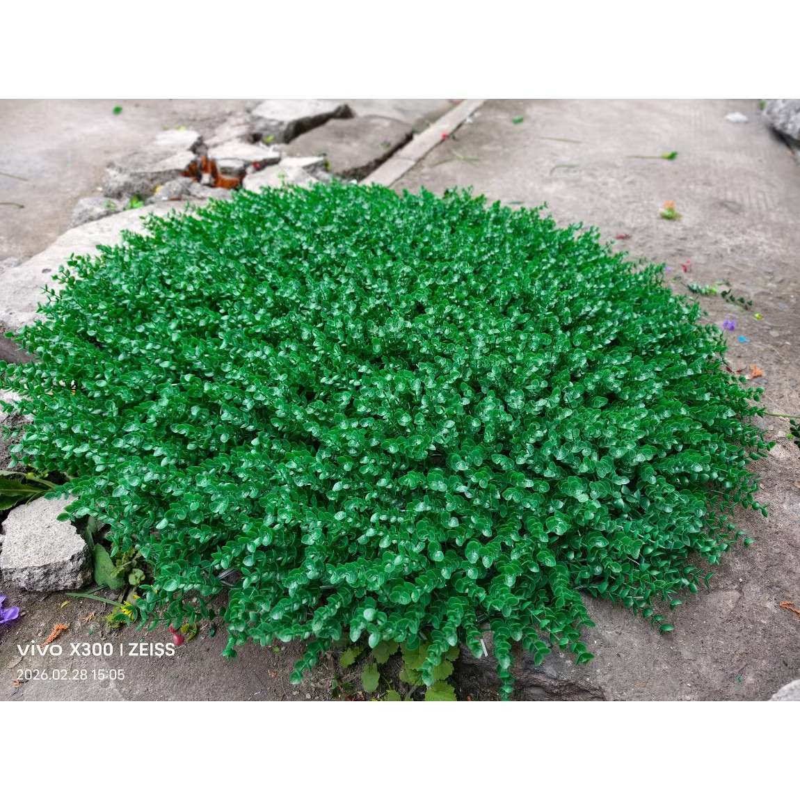 户外井盖遮挡装饰品遮丑摆件尤加利草丛草团草剁蒲草团草堆草垛
