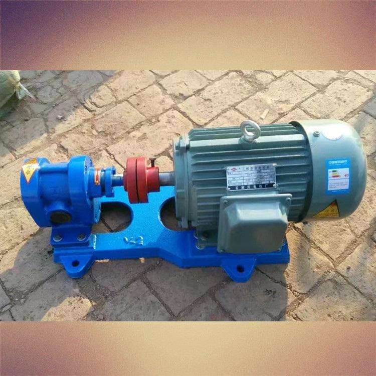 2cy齿轮油泵 价钱合理 厂家供应 齿轮泵工业抽水泵油泵规格齐全
