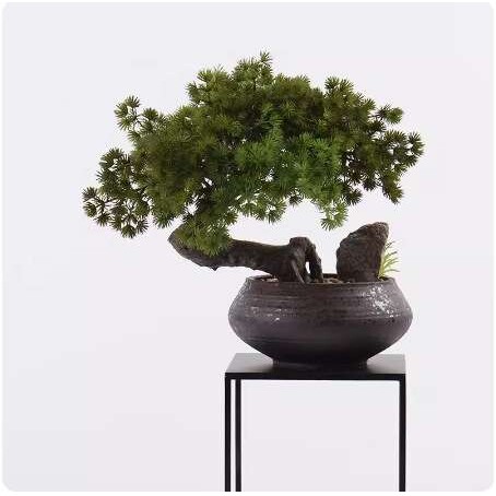 新中式迎客松树盆景摆件茶桌枯山水博古架玄关装饰品绿植案台盆栽